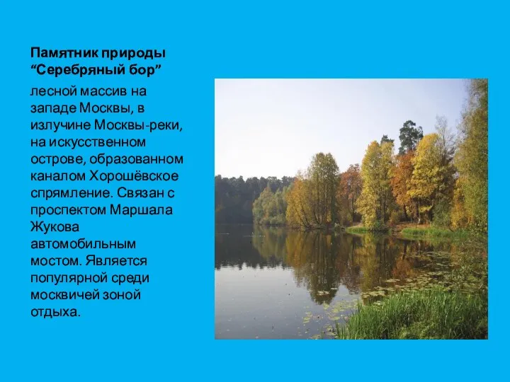 Памятник природы “Серебряный бор” лесной массив на западе Москвы, в