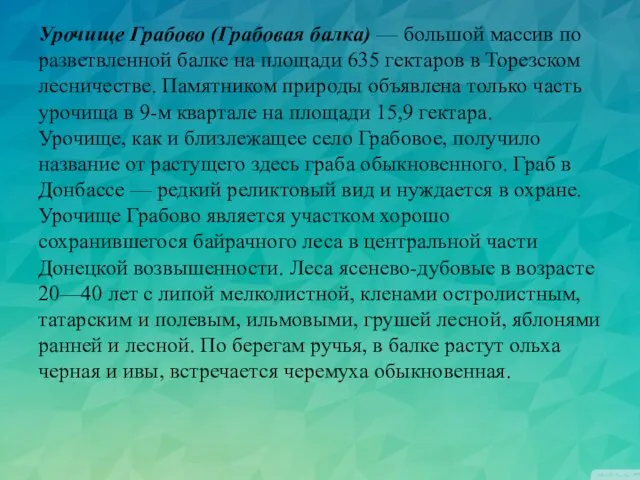 Урочище Грабово (Грабовая балка) — большой массив по разветвленной балке