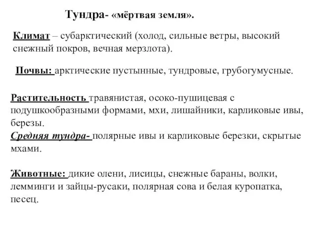 Тундра- «мёртвая земля». Растительность травянистая, осоко-пушицевая с подушкообразными формами, мхи,