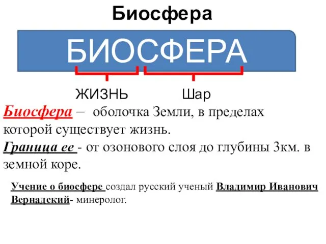 Биосфера БИОСФЕРА ЖИЗНЬ Шар Биосфера – оболочка Земли, в пределах