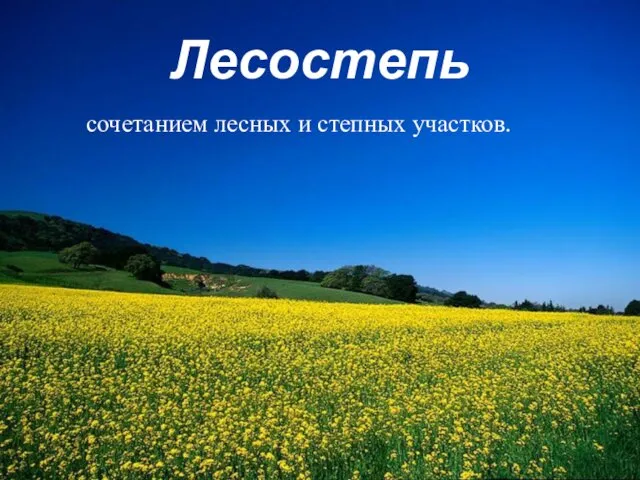 Лесостепь сочетанием лесных и степных участков.