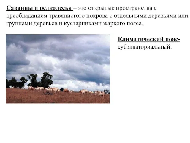 Саванны и редколесья – это открытые пространства с преобладанием травянистого