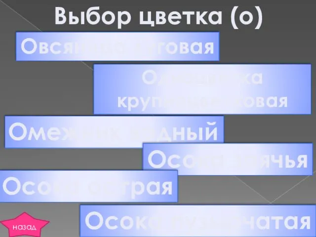 Выбор цветка (о) Овсяница луговая Одноцветка крупноцветковая Омежник водный Осока заячья Осока острая Осока пузырчатая назад