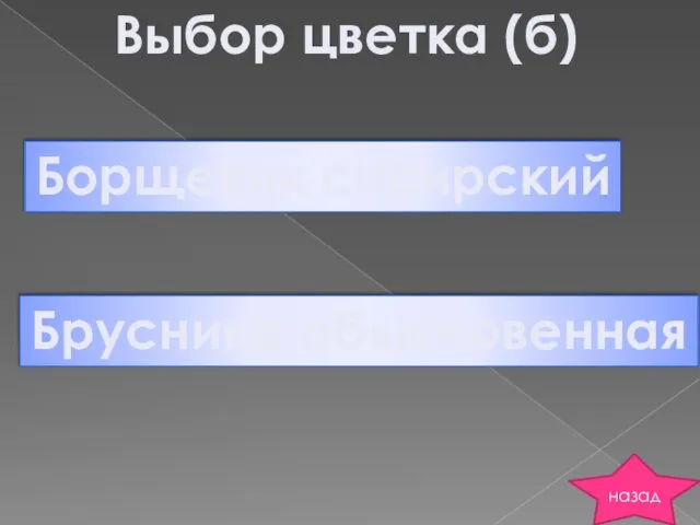 Борщевик сибирский Брусника обыкновенная Выбор цветка (б) назад