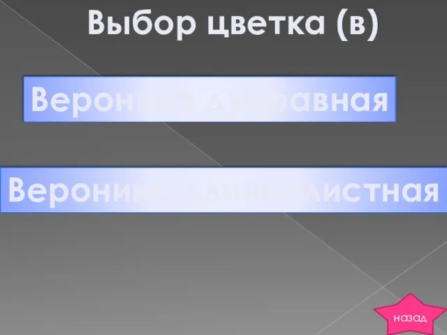 Выбор цветка (в) Вероника дубравная Вероника длиннолистная назад