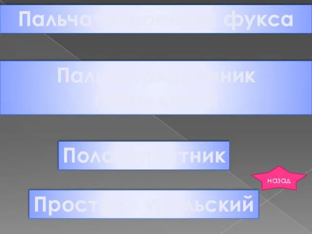 Пальчатокоренник гебридский Пальчатокоренник фукса Пололепестник Прострел уральский назад