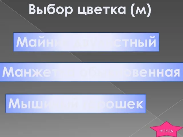 Выбор цветка (м) Майник двулистный Манжетка обыкновенная Мышиный горошек назад