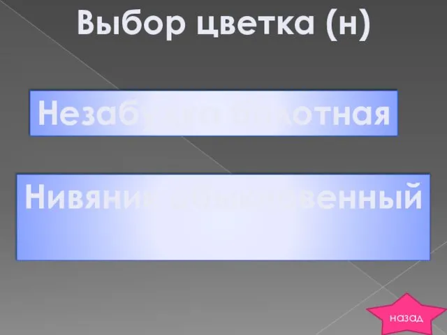 Выбор цветка (н) Незабудка болотная Нивяник обыкновенный назад