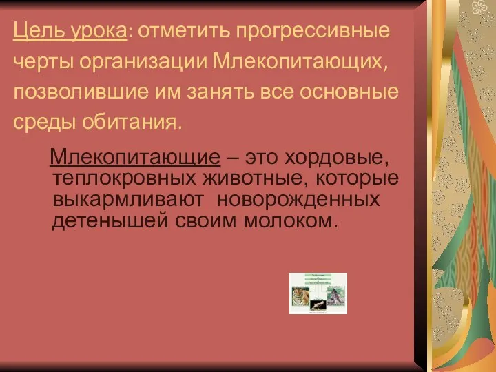 Цель урока: отметить прогрессивные черты организации Млекопитающих, позволившие им занять