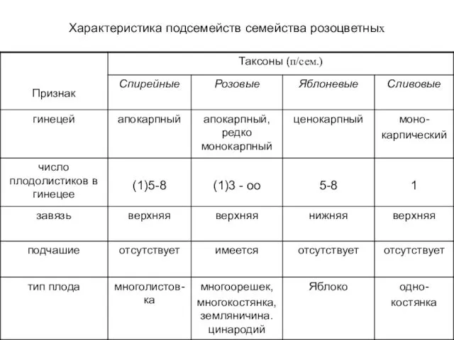 Характеристика подсемейств семейства розоцветных