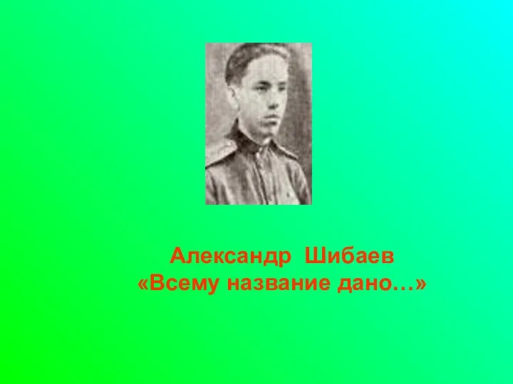 Александр Шибаев «Всему название дано…»