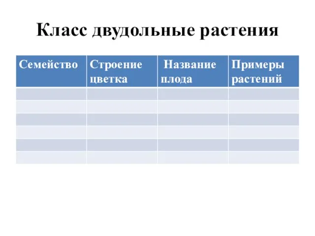 Класс двудольные растения