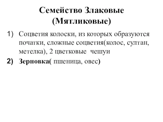 Семейство Злаковые(Мятликовые) Соцветия колоски, из которых образуются початки, сложные соцветия(колос,