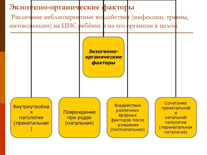 Экзогенно-органические факторы Различные неблагоприятные воздействия (инфекции, травмы, интоксикации) на ЦНС