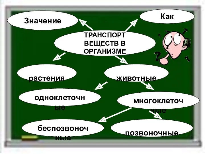 ТРАНСПОРТ ВЕЩЕСТВ В ОРГАНИЗМЕ Значение Как одноклеточные многоклеточные беспозвоночные позвоночные растения животные