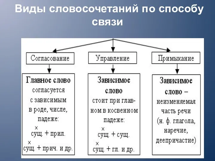 Виды словосочетаний по способу связи