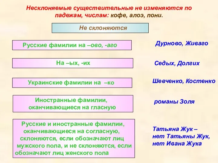 Несклоняемые существительные не изменяются по падежам, числам: кофе, алоэ, пони. Не склоняются