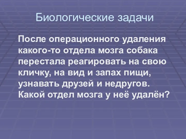 Биологические задачи После операционного удаления какого-то отдела мозга собака перестала