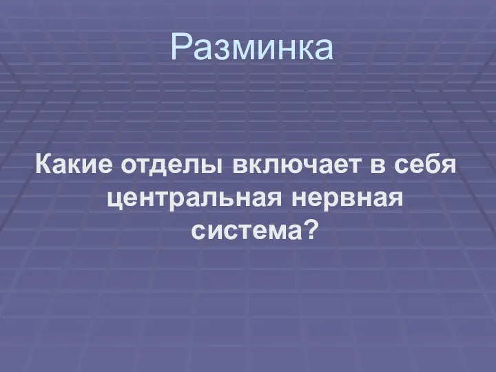 Разминка Какие отделы включает в себя центральная нервная система?