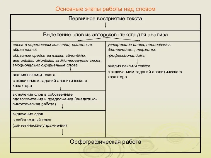 Основные этапы работы над словом