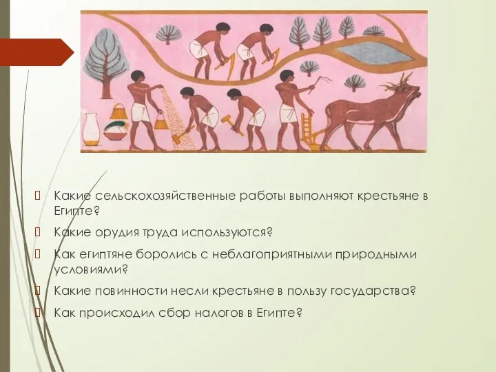Какие сельскохозяйственные работы выполняют крестьяне в Египте? Какие орудия труда