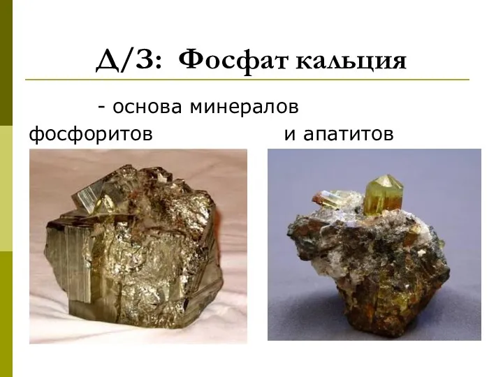 Д/З: Фосфат кальция - основа минералов фосфоритов и апатитов