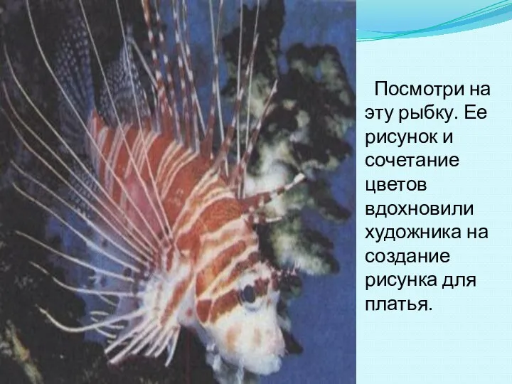 Посмотри на эту рыбку. Ее рисунок и сочетание цветов вдохновили художника на создание рисунка для платья.