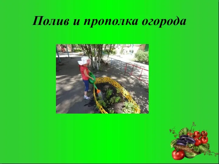 Полив и прополка огорода