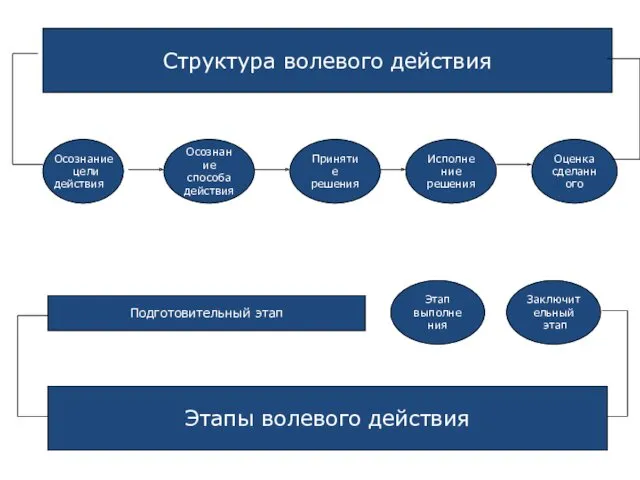 Структура волевого действия Осознание способа действия Принятие решения Исполнение решения