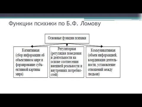 Функции психики по Б.Ф. Ломову
