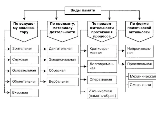 Механическая Смысловая Иконическая (память-образ)