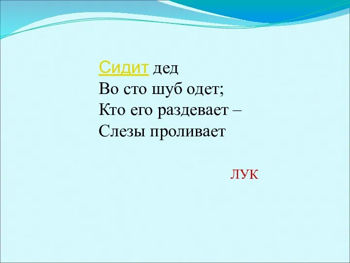 Сидит дед Во сто шуб одет; Кто его раздевает – Слезы проливает ЛУК