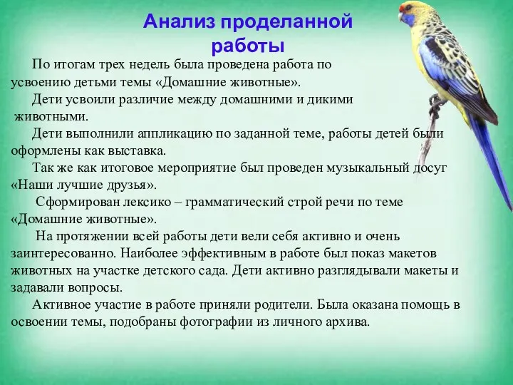 Анализ проделанной работы По итогам трех недель была проведена работа по усвоению детьми