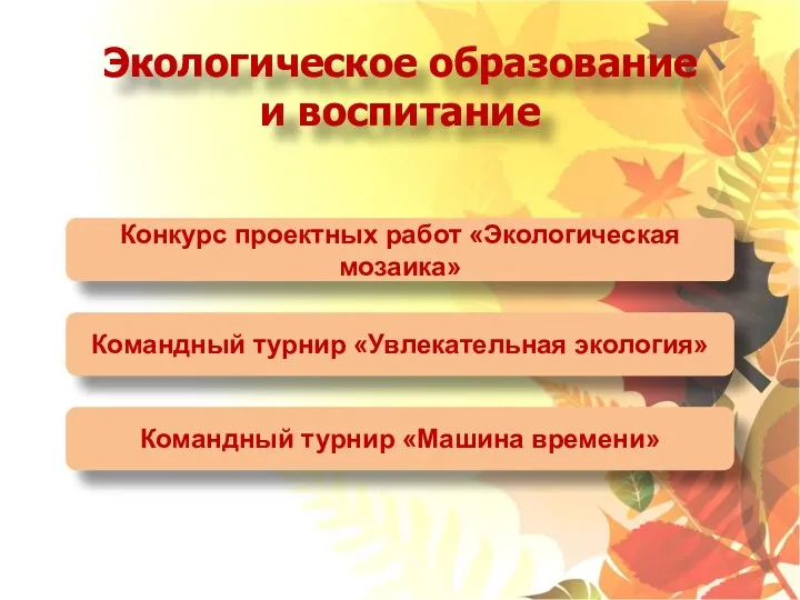 Экологическое образование и воспитание Конкурс проектных работ «Экологическая мозаика» Командный турнир «Увлекательная экология»