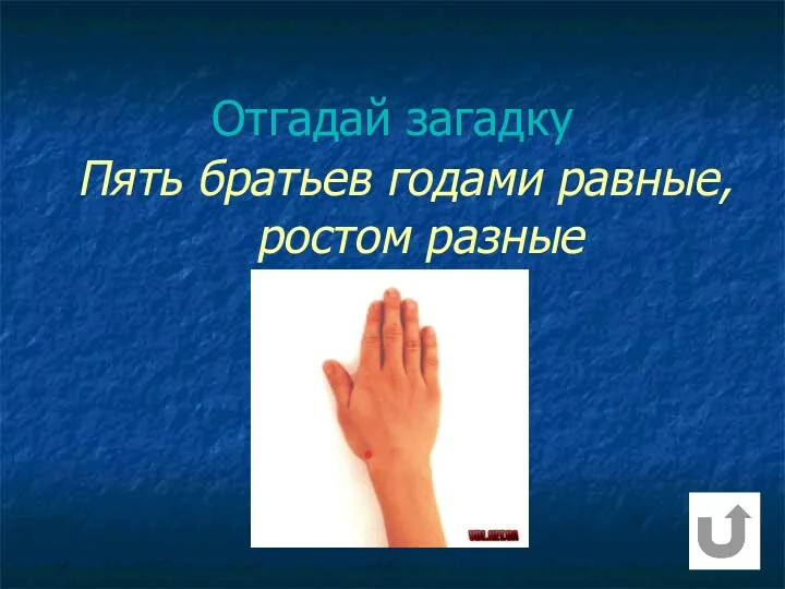 Пять братьев годами равные, ростом разные Отгадай загадку