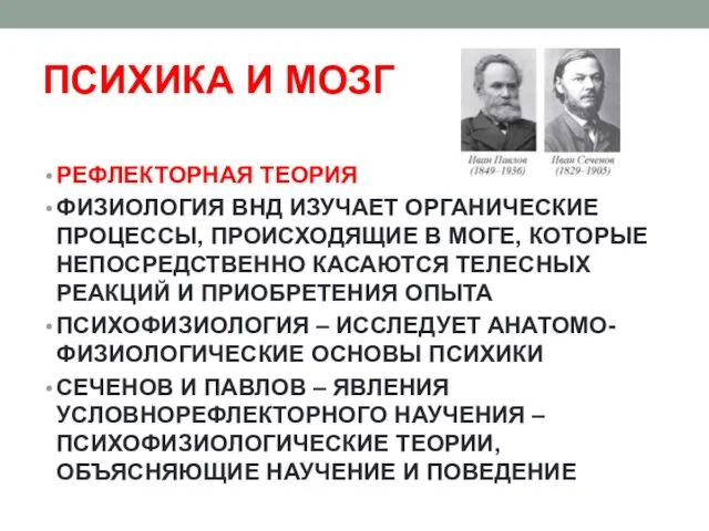 ПСИХИКА И МОЗГ РЕФЛЕКТОРНАЯ ТЕОРИЯ ФИЗИОЛОГИЯ ВНД ИЗУЧАЕТ ОРГАНИЧЕСКИЕ ПРОЦЕССЫ,