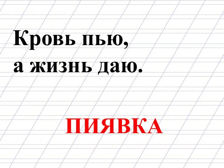 Кровь пью, а жизнь даю. ПИЯВКА