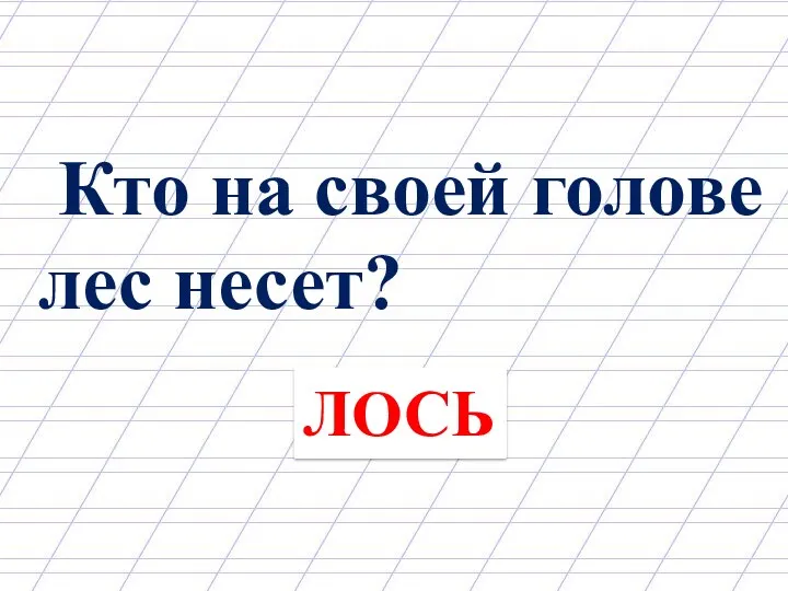 Кто на своей голове лес несет? ЛОСЬ