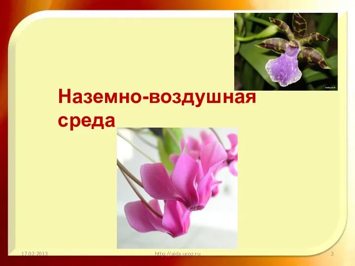 http://aida.ucoz.ru Наземно-воздушная среда