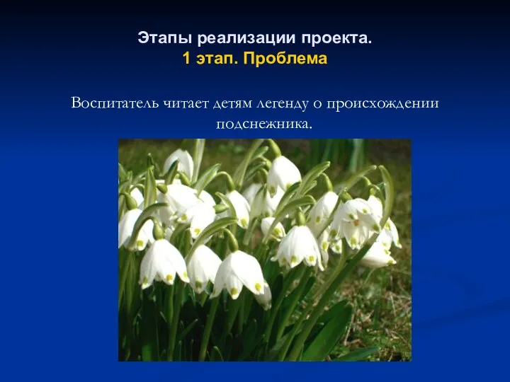 Этапы реализации проекта. 1 этап. Проблема Воспитатель читает детям легенду о происхождении подснежника.