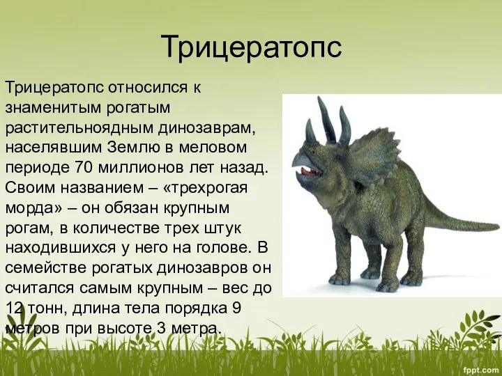 Трицератопс Трицератопс относился к знаменитым рогатым растительноядным динозаврам, населявшим Землю в меловом периоде