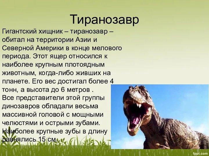 Тиранозавр Гигантский хищник – тиранозавр – обитал на территории Азии и Северной Америки