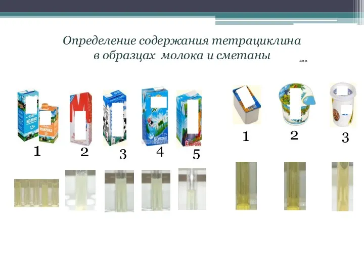 Определение содержания тетрациклина в образцах молока и сметаны *** *** ***