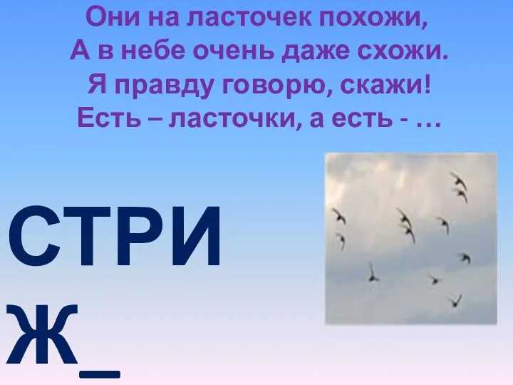 Они на ласточек похожи, А в небе очень даже схожи.