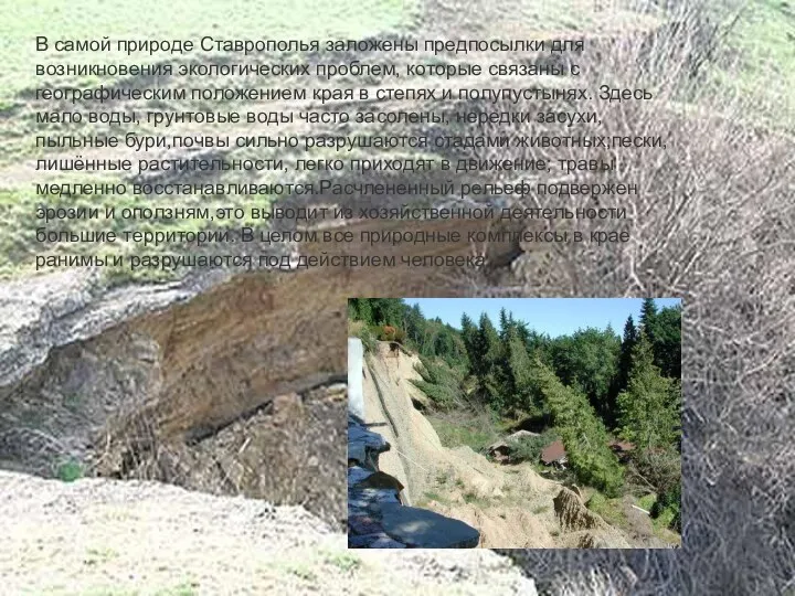 В самой природе Ставрополья заложены предпосылки для возникновения экологических проблем,