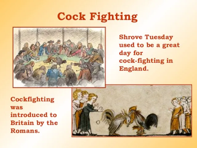 Cock Fighting Cockfighting was introduced to Britain by the Romans.