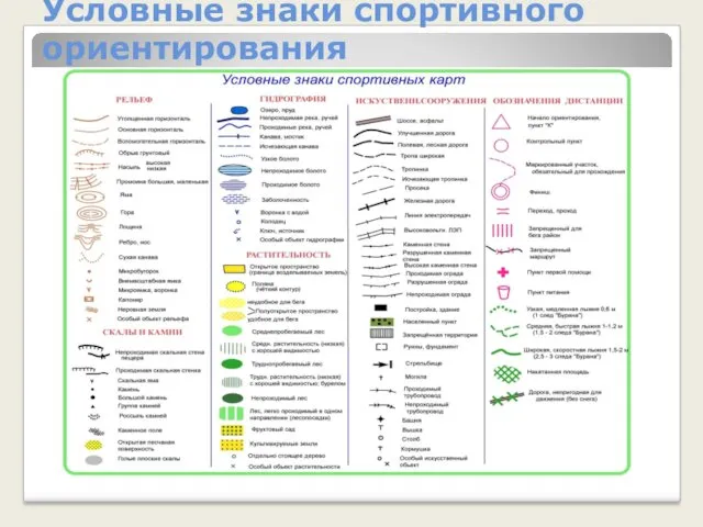 Условные знаки спортивного ориентирования