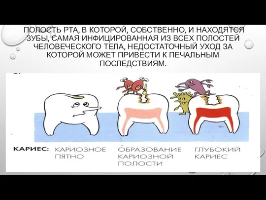 Полость рта, в которой, собственно, и находятся зубы, самая инфицированная из всех полостей