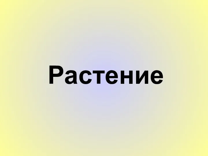 Растение