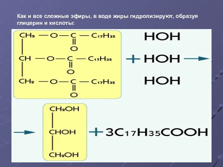 Как и все сложные эфиры, в воде жиры гидролизируют, образуя глицерин и кислоты: